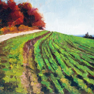 Down to Earth by Liza Hirst