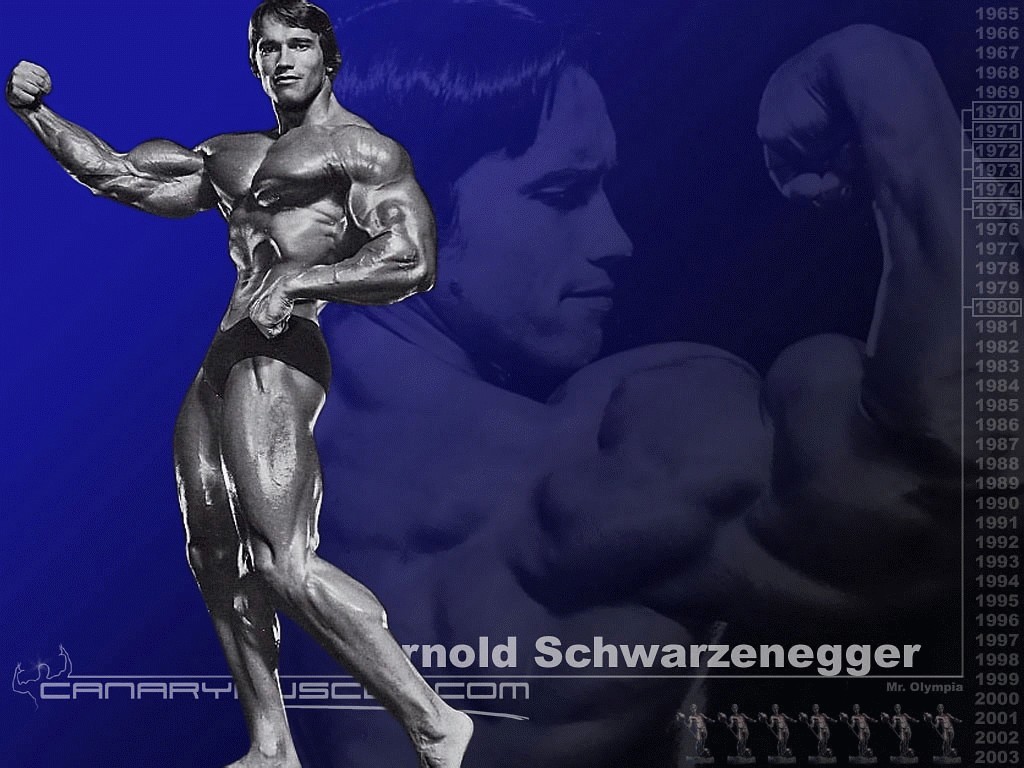 http://4.bp.blogspot.com/_U6QvUYsgIMI/S7ilpZXcWbI/AAAAAAAAAKo/WDl9-FyIvz4/s1600/Arnold%2BWallpaper%2Bblue-big.jpg
