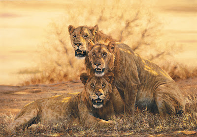 Three Lions Wonderful picture