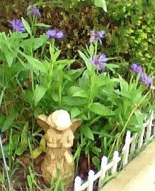 Springtime Blessings