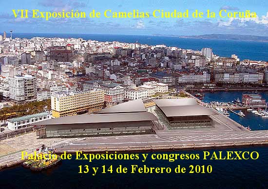[PALEXCO+A+CoruÃ±a.bmp]