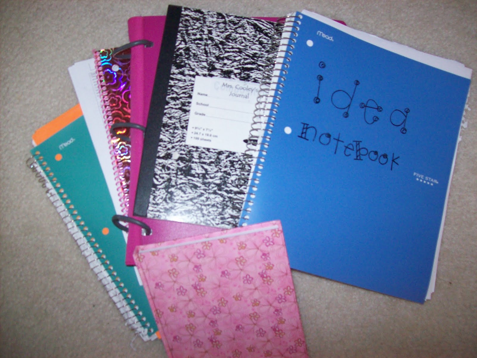 First Grader...at Last! Idea Notebooks