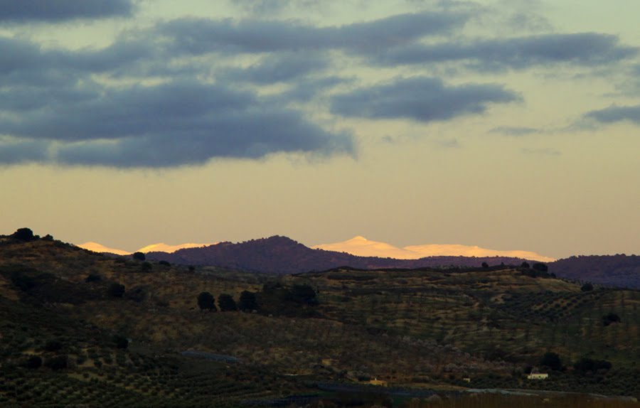 [Sierra+Nevada.jpg]