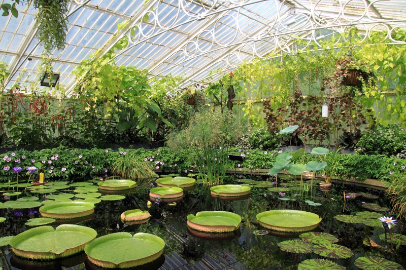 [Lily+house+Kew.jpg]