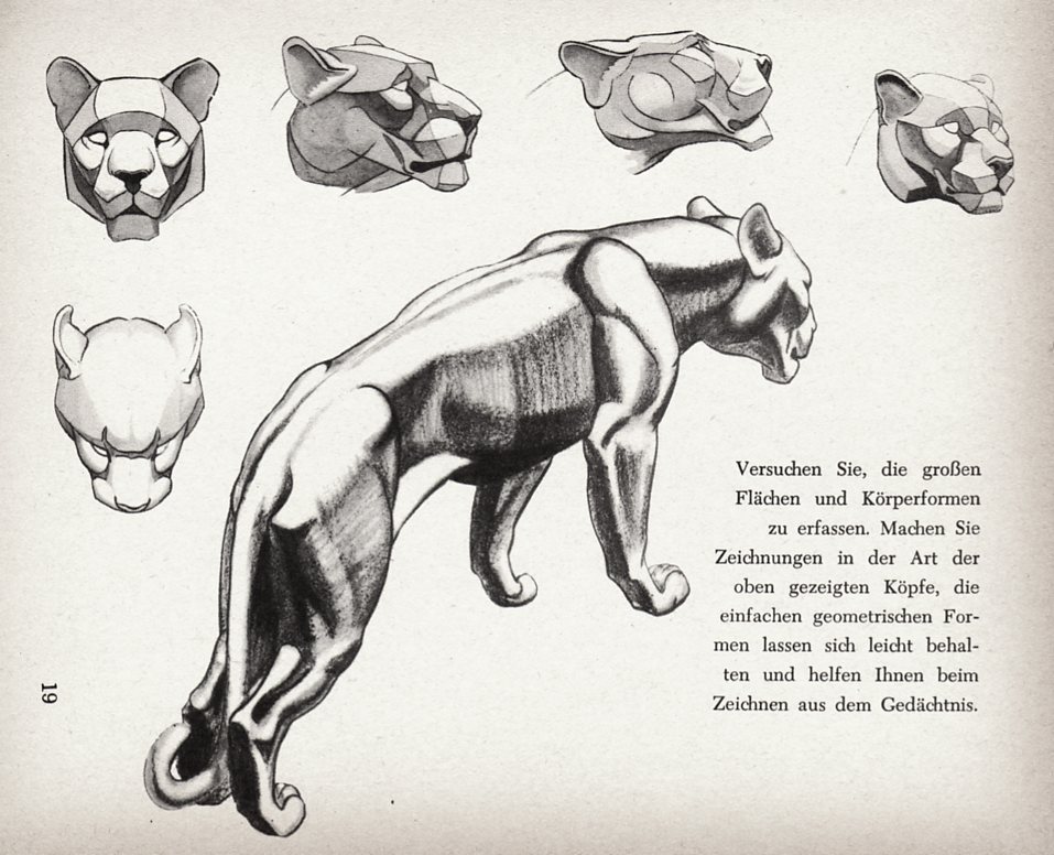 [shepp+libro006.jpg]