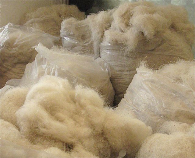 How Pashmina Shawls are made The Pashmina Store