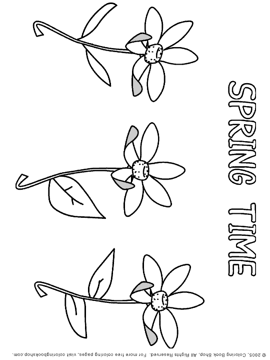flower coloring pages for kids printable. PRINTABLE COLORING PAGES OF