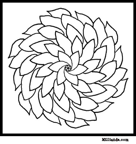 Coloring Pages on This Flower Coloring Pages And Color With Your Favorite Color