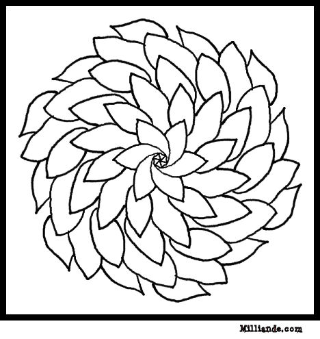 spring flower coloring pages collections
