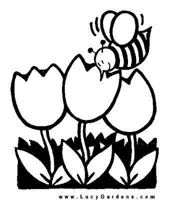 Funny Summer Bee Coloring Pages