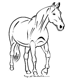 Horse Coloring Pages on Coloring Pages  Horse Coloring Pages