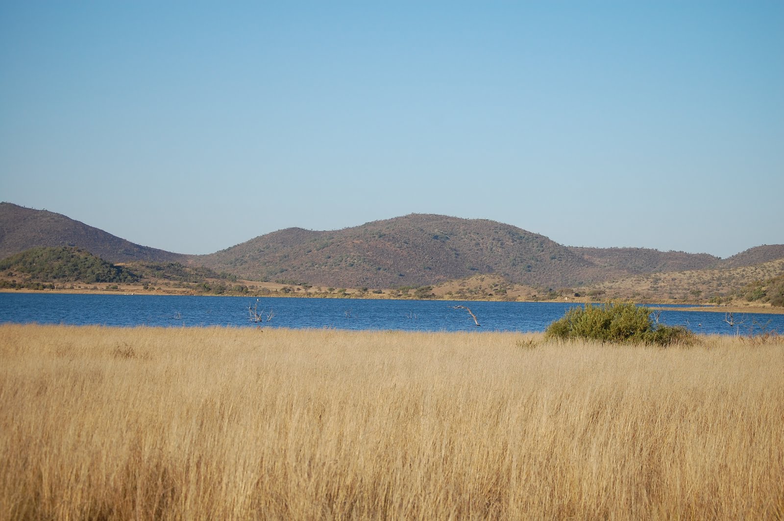 Center for International Sport Business African Savanna