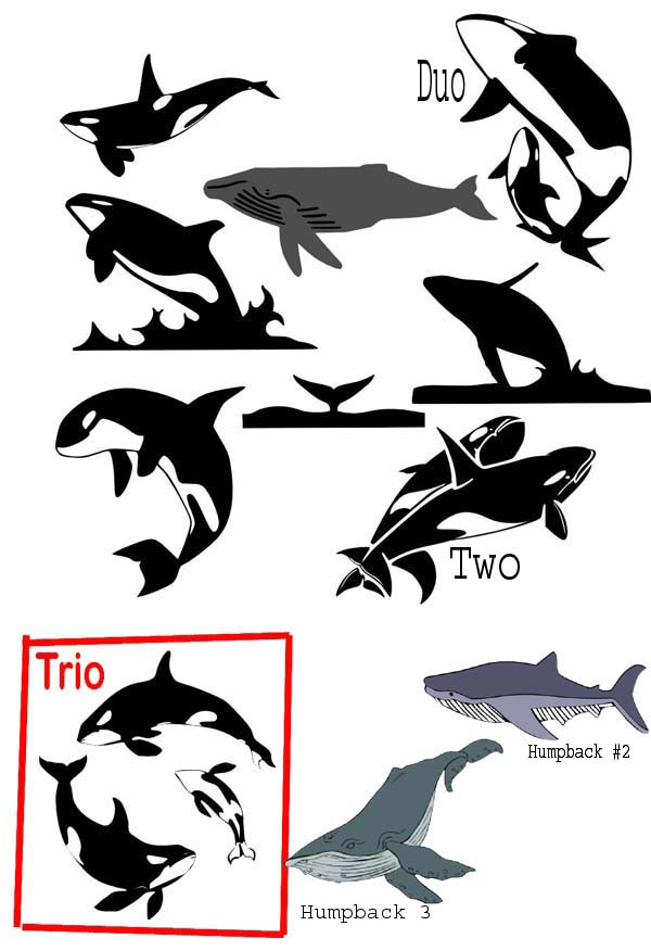 Mardenz: Orcas and Sperm Whales (9 files) Mardenz: Orcas and Sperm Whales (9 files)