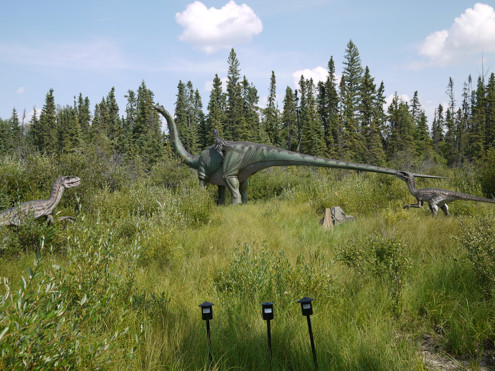 Dinosaur Forest