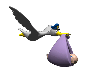 [storkdeliveringbabyhgclbk4.gif]