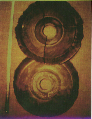 [Dropa+Discos.jpg]