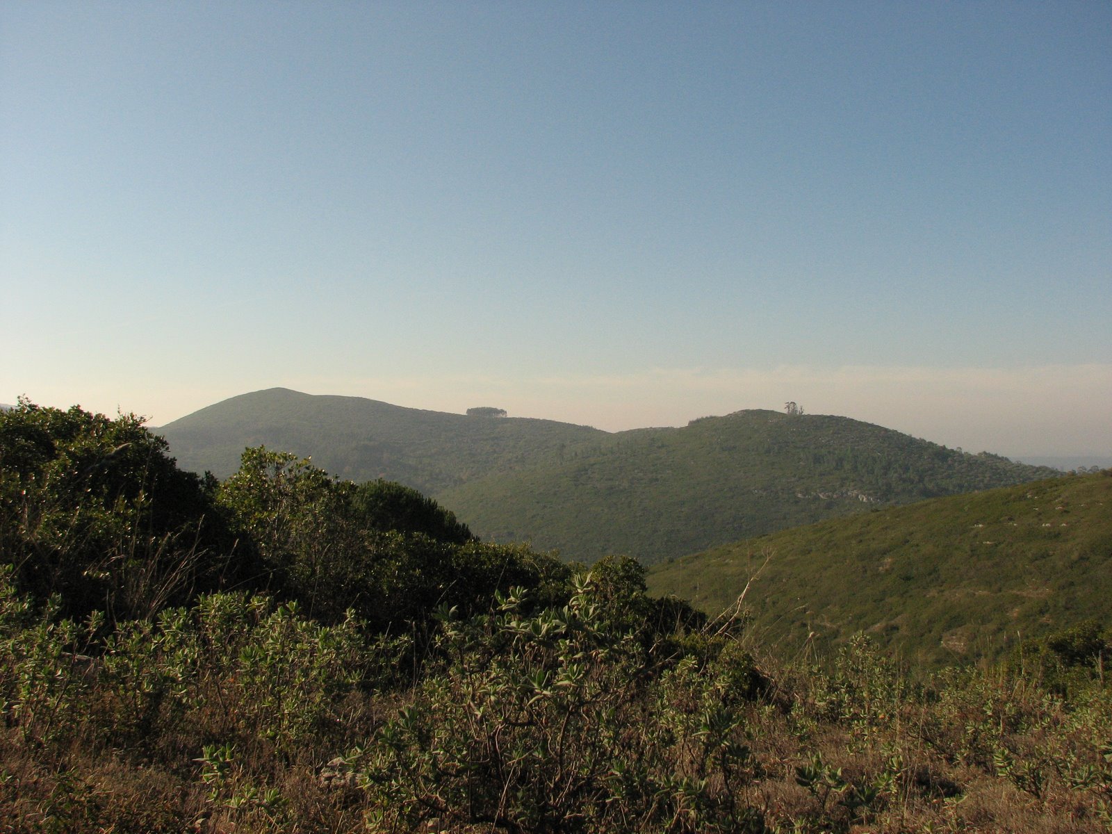 [IMG_3260[1]]