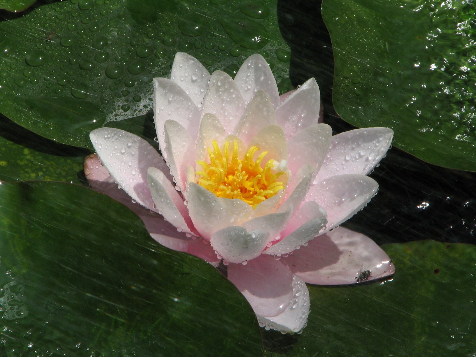 [IMG_3429.JPG]