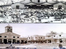 MERCADO E PRAÇA DR CARLOS