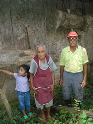 meliponicultura rural