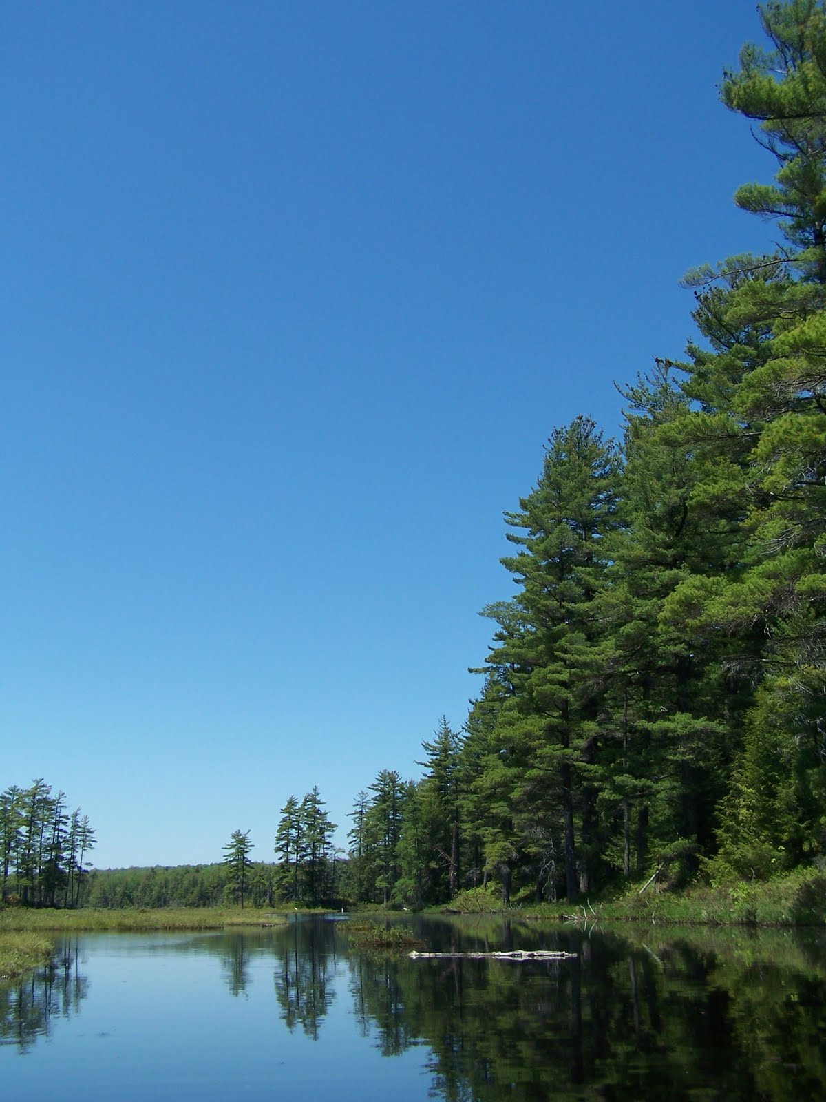 Quiet Kayaking in New York State Francis Lake, part two