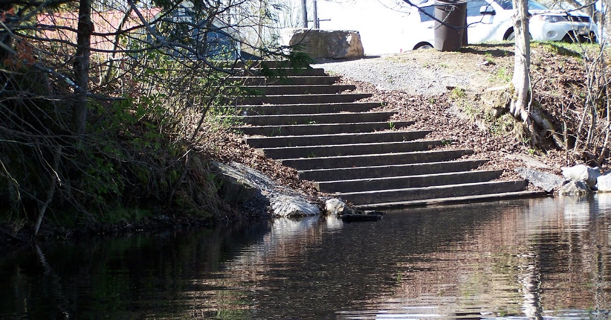 Quiet Kayaking in New York State West Branch of the Fish Creek