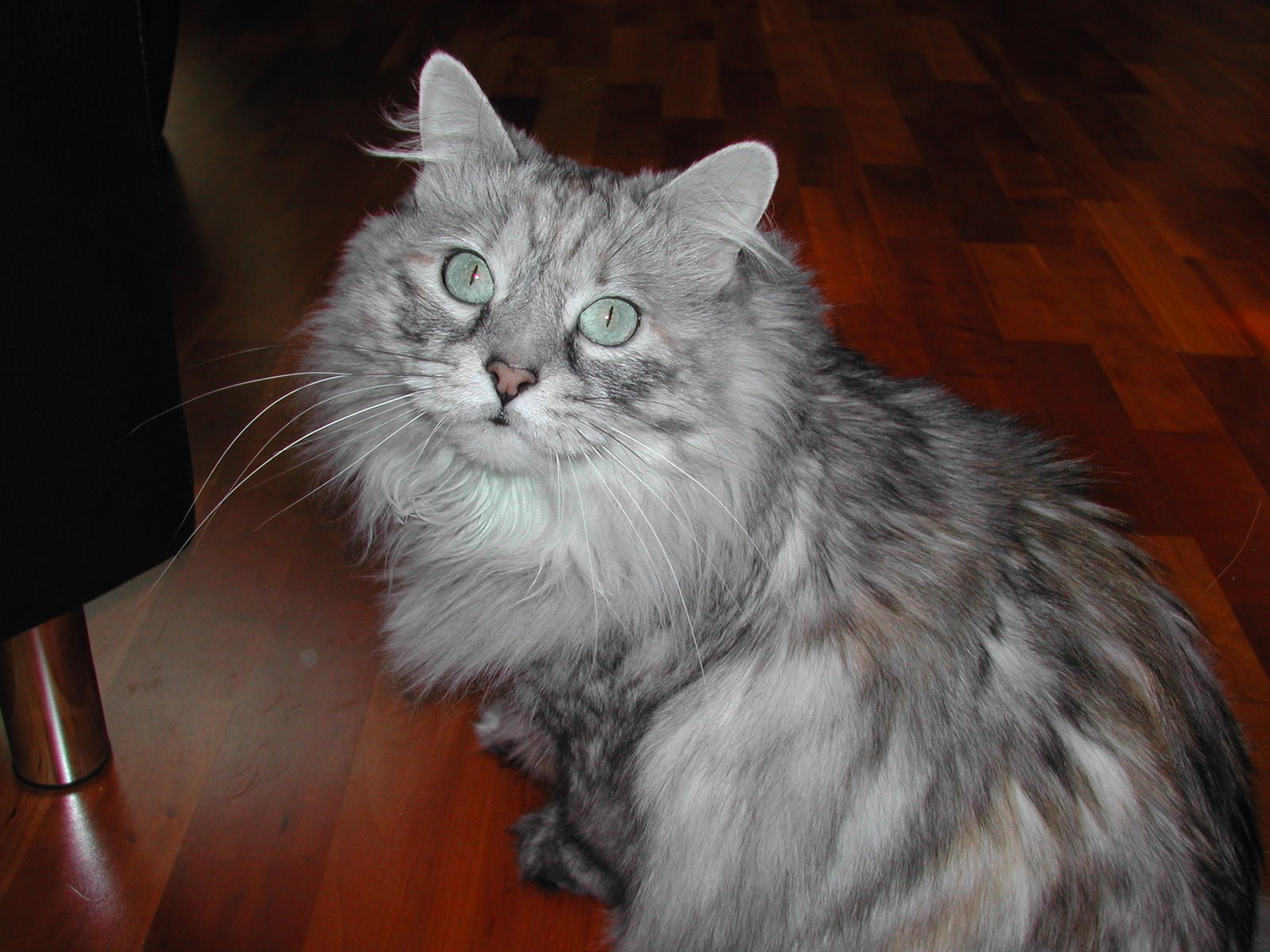 [Sunshine+-+January+2008.JPG]