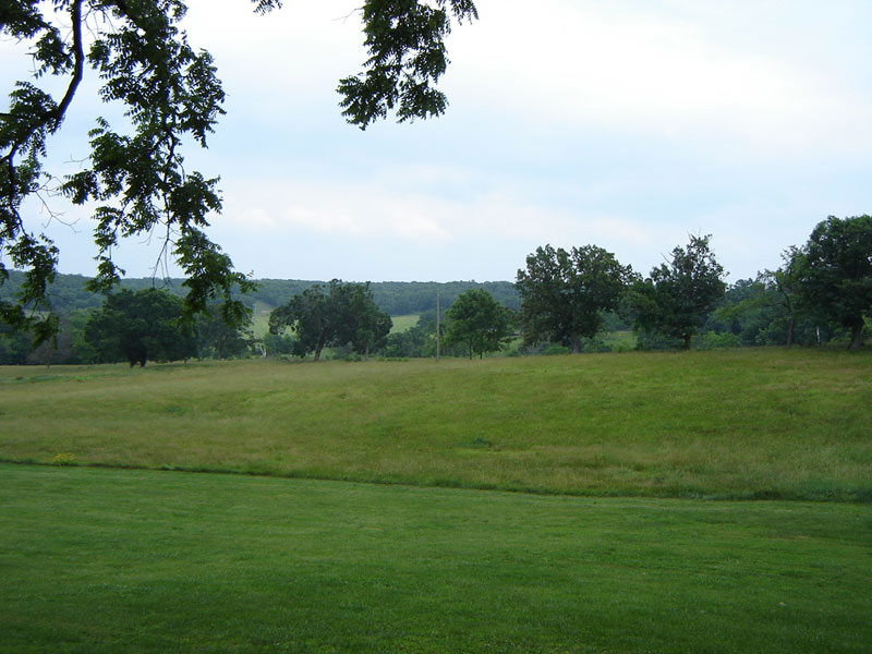 [200706mansfield.jpg]