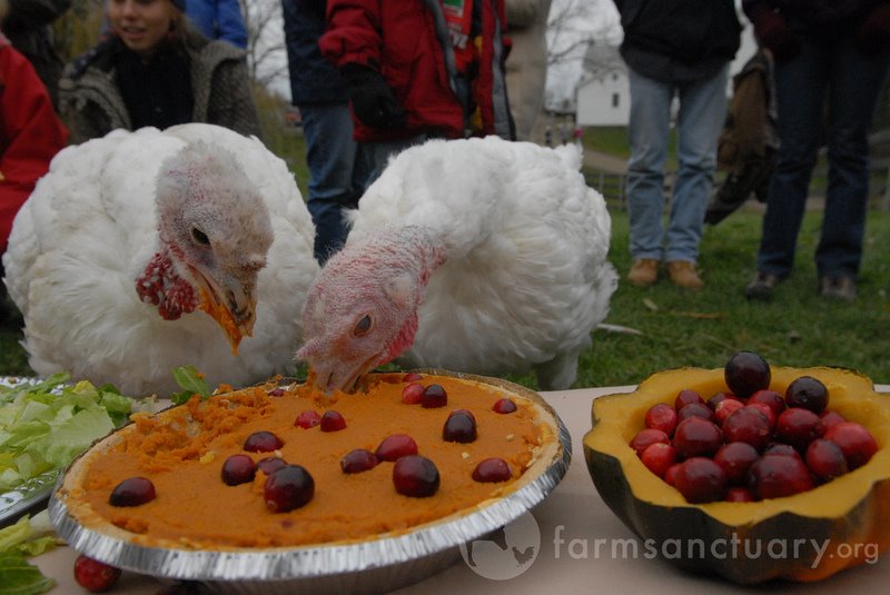 [2922559857_b2b62c76da_b.jpg]