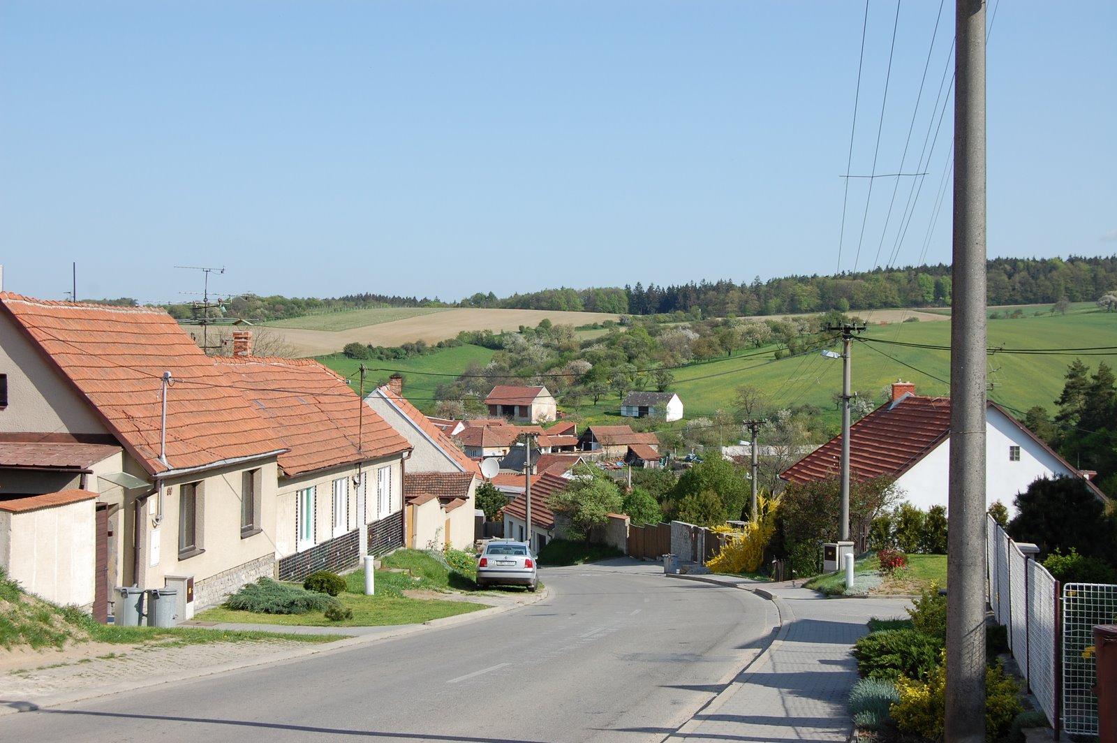 [DSC_0080.JPG]
