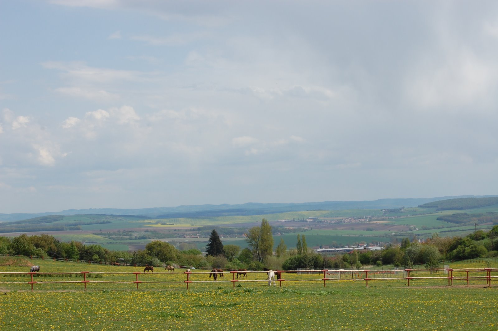 [DSC_0163.JPG]