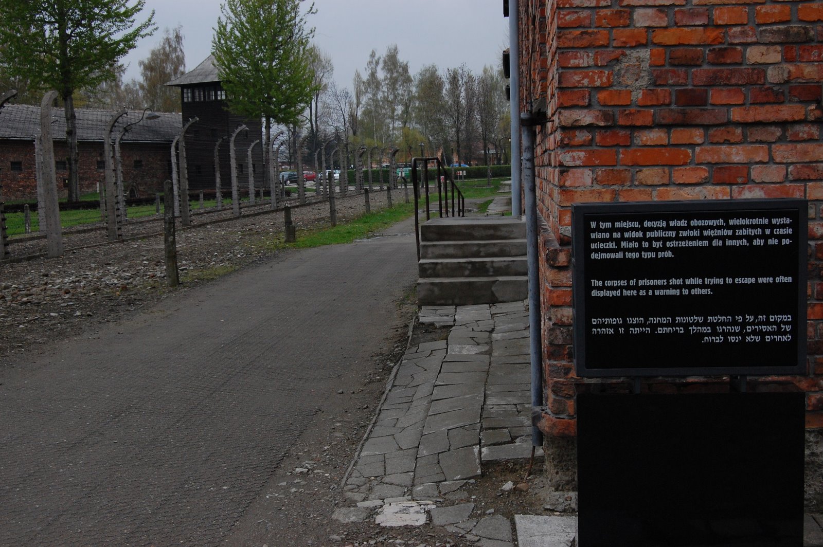 [DSC_0234.JPG]