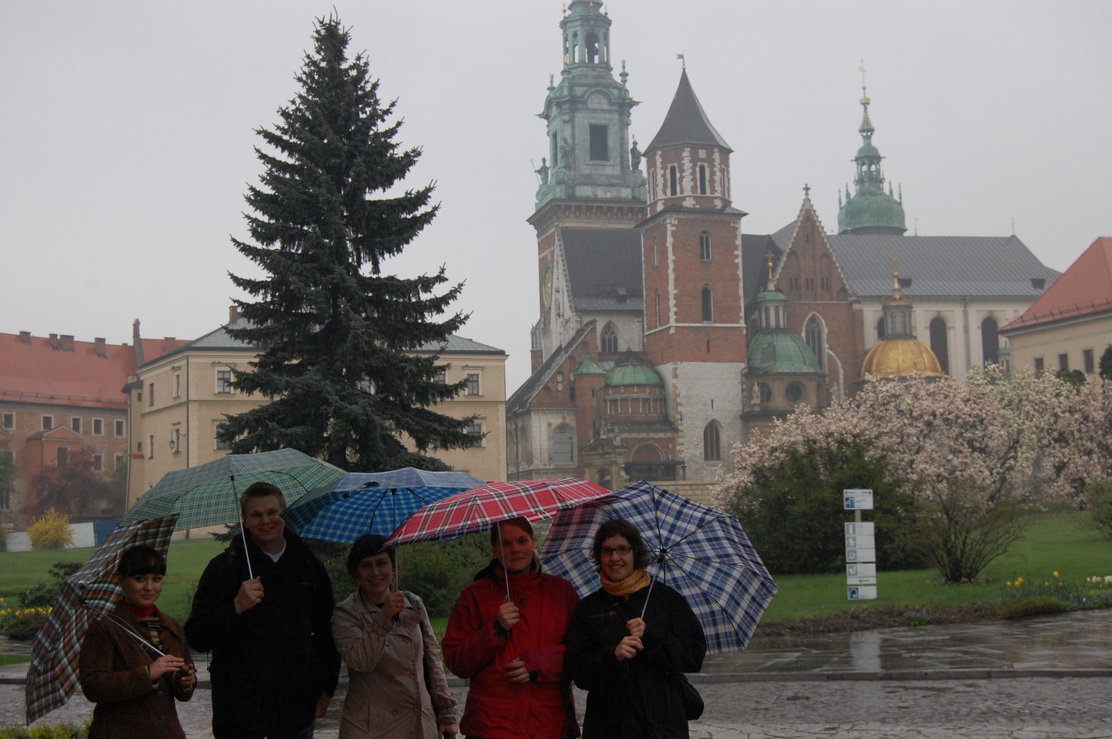 [DSC_0137.JPG]