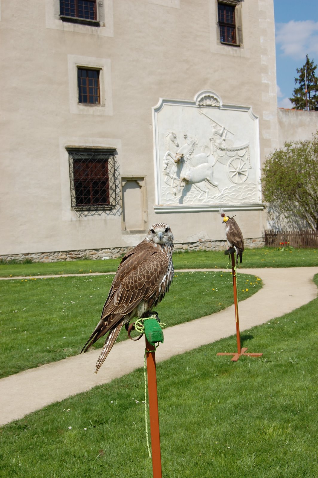 [DSC_0094.JPG]
