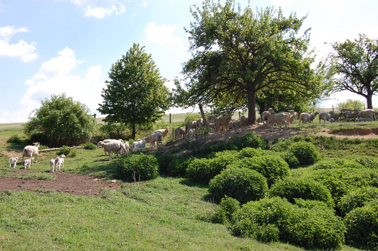 [DSC_0049.JPG]