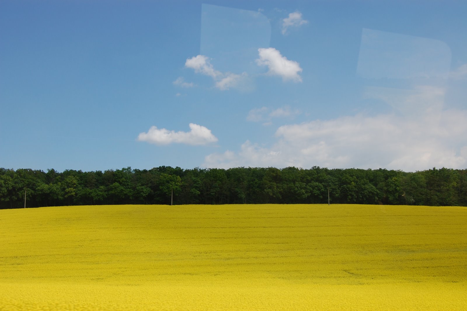 [DSC_0073.JPG]