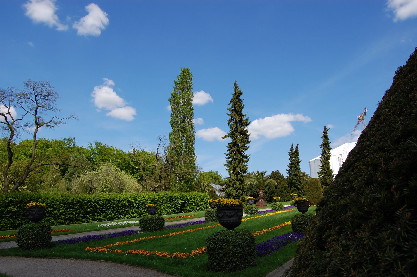 [DSC_0074.JPG]