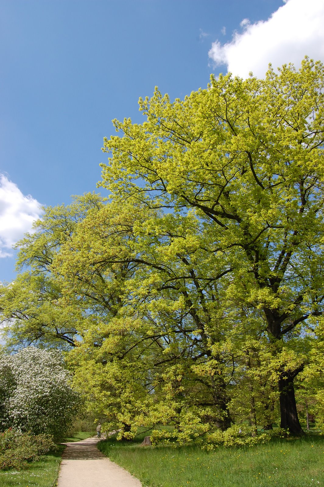 [DSC_0036.JPG]