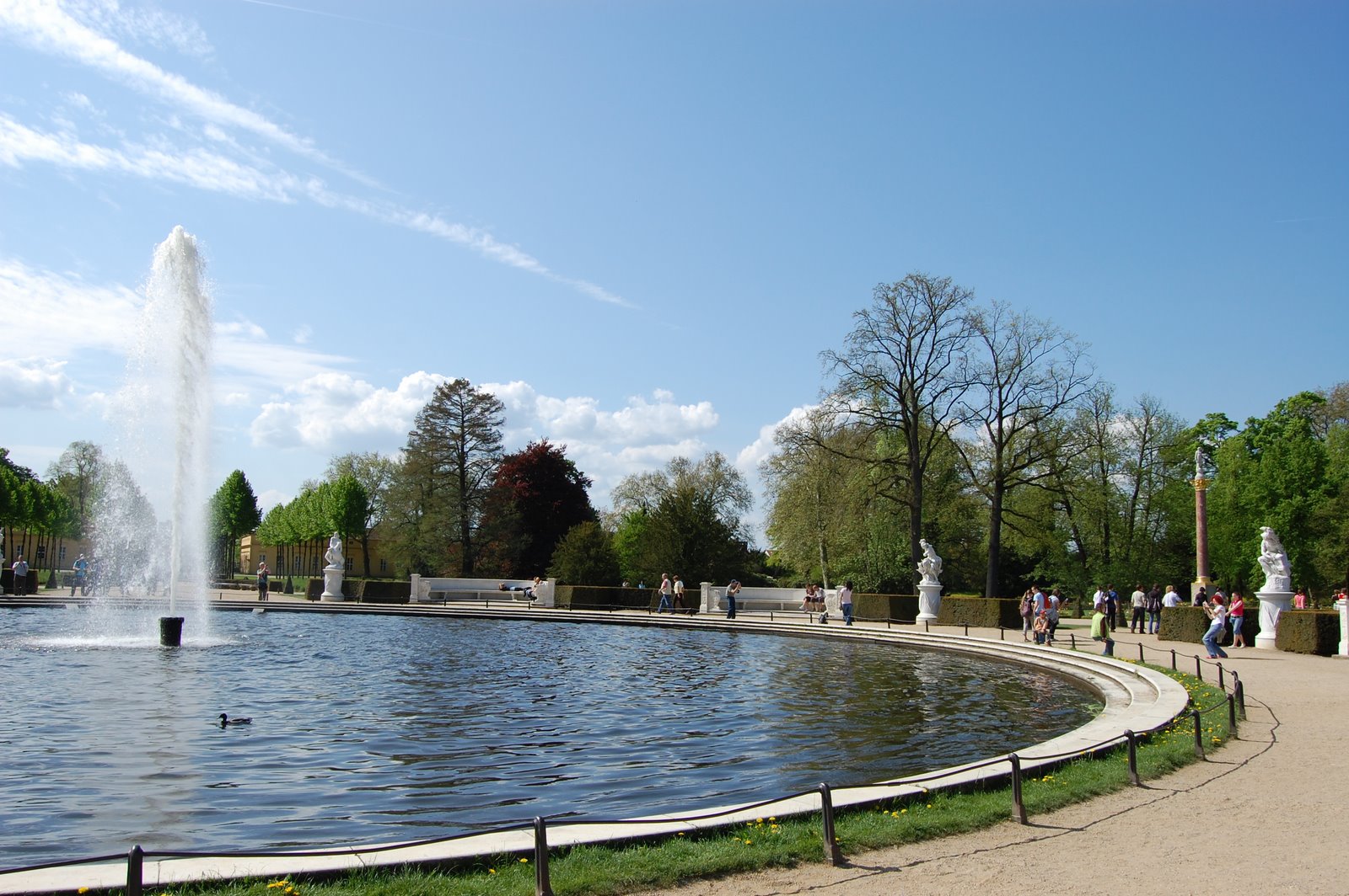 [DSC_0184.JPG]
