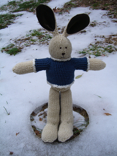 [knitting+rabbit+flickr+rachaelrabbit.jpg]