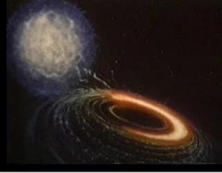 [cosmos.JPG]