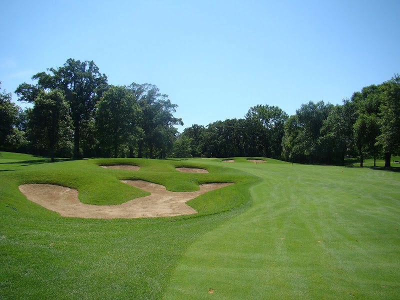 Cog golf course stock options