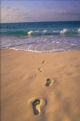 feet-in-sand.gif