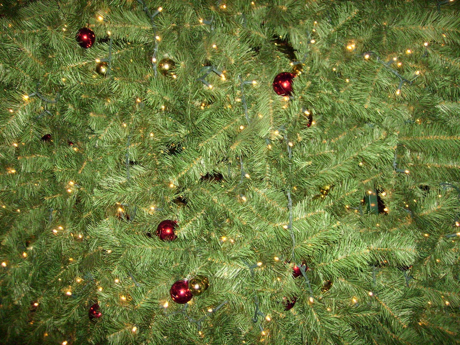 [amesterdao+2006+152.jpg]