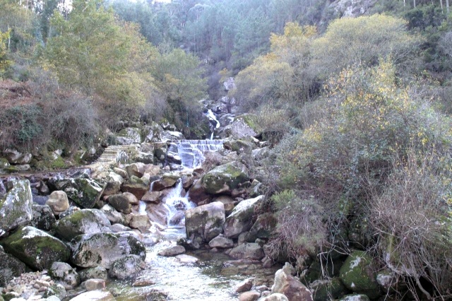 [PC202709.jpg]