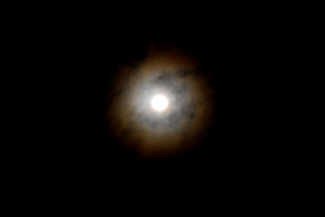 [DSC_0030.JPG]