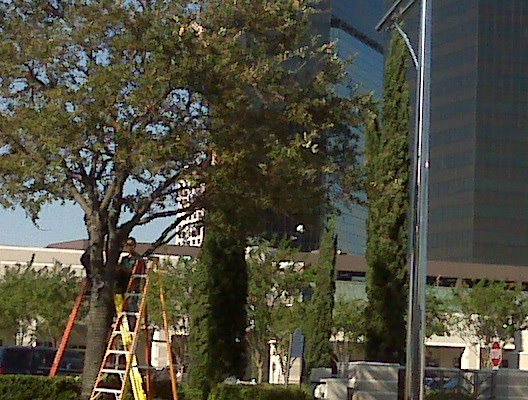 [=?utf-8?B?L0RldmljZSBNZW1vcnkvaG9tZS91c2VyL3BpY3R1cmVzL0lNRzAwMDg5LmpwZw==?=-740800]