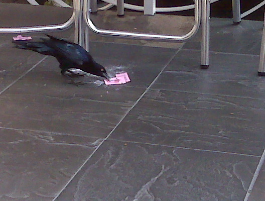 [=?utf-8?B?SU1HMDAwOTAuanBn?=-764971]