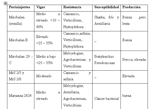 tabla principales porta injertos