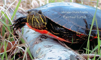 SHORT FAMILY: Michigan